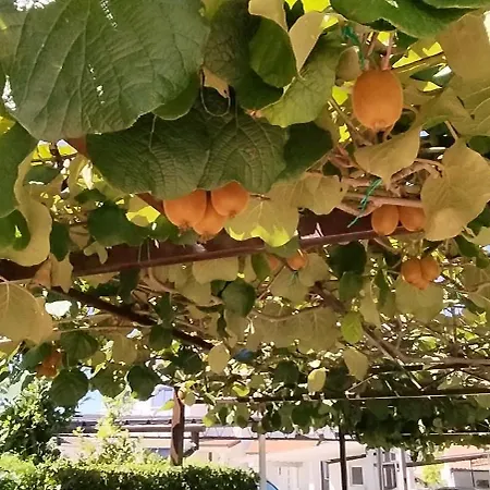 Marijana Apartment Poreč