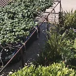 Marijana * Πόρετς