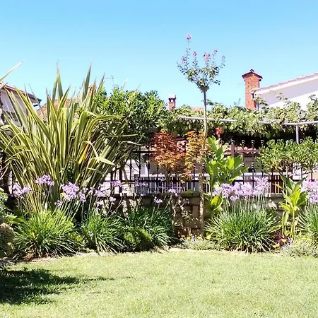 Διαμέρισμα Marijana