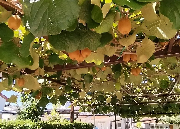 Marijana Apartman Poreč